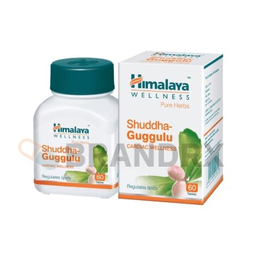 Résine de Commiphora wightii (1)